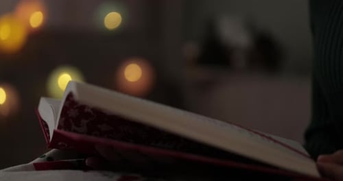 Cozy Christmas Reading at Home