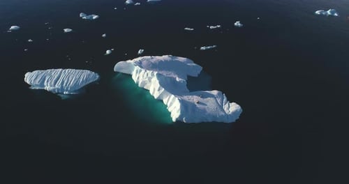 Wildlife in Antarctica Seals Resting on Glacier