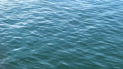 Gentle waves ripple across the surface of a calm blue ocean on a sunny day