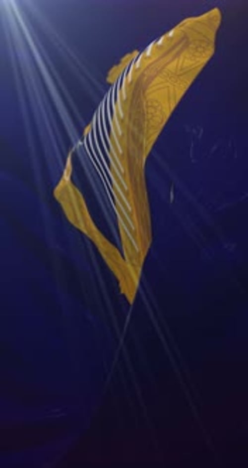 Ireland Arms Banner