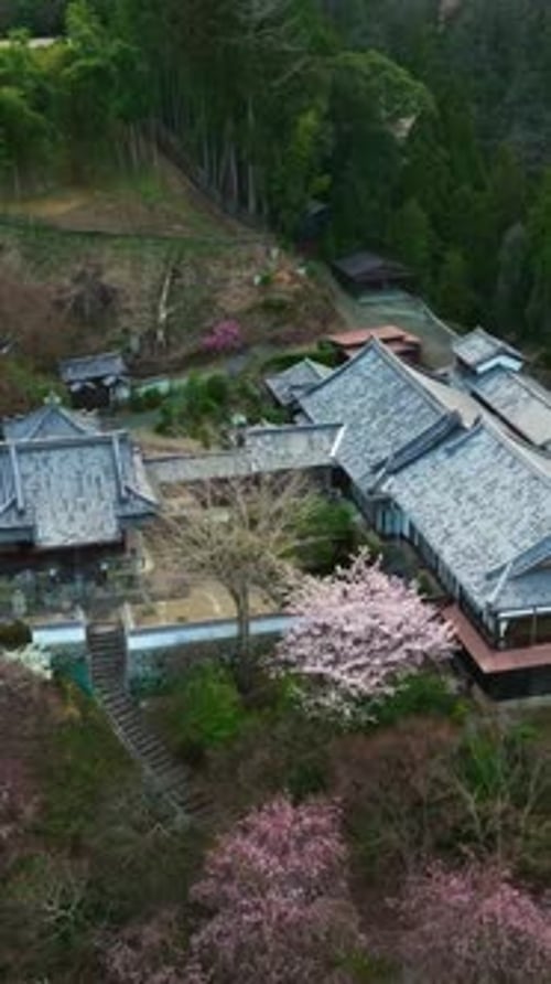 Aerial View of traditional Japanese architecture and nature