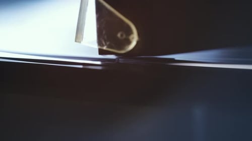 Macro Record Player Needle on Spinning Vinyl