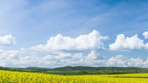 Fields with a Plant in a Valley Against the Background of the Village and the Sky in Bulgaria