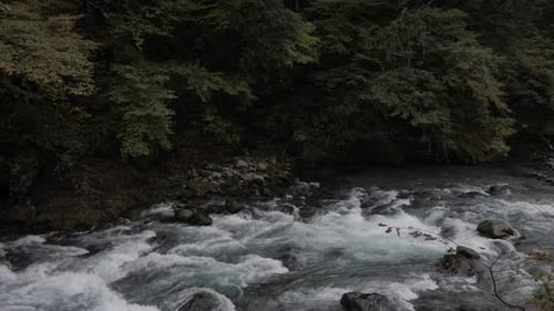 River Water Stream