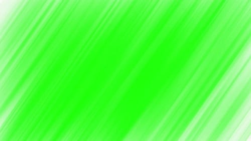 Animated White Diagonal Brush Strokes Transition