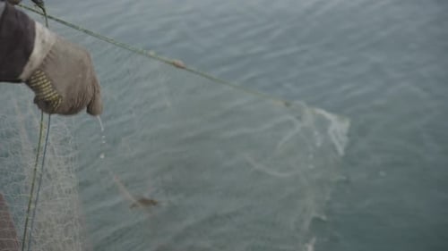 Traditional fishermen pull nets, but find almost nothing. This shows how over fishing and pollution