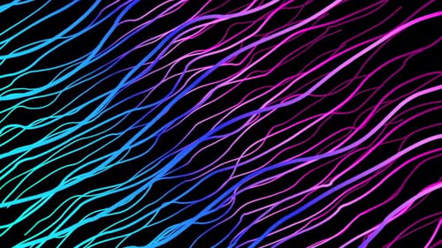 Abstract Fluid Gradient Wavy Lines Animation