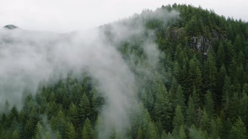 Aerial View of Beautiful Mountain Landscape Fog Rises Over the Mountain Slopes