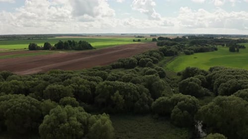 Aerial View of Lush Greenery and Cultivated Fields Under a Partly Cloudy Sky