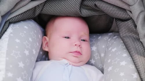 Calm Infant Lying in Bassinet Close Up