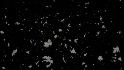 Natural Falling Snow Dust Particles Overlay