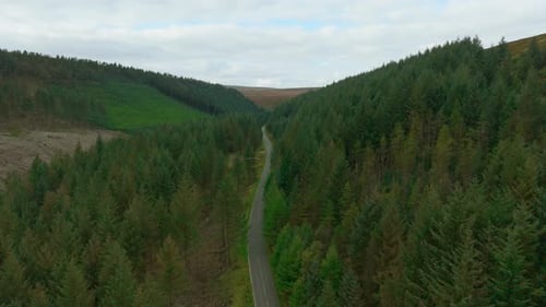 Ruhige Bergstraße, die sich durch ein üppiges Waldtal schlängelt Ruhige Panoramastraße, die sich zwischen Pinien schlängelt