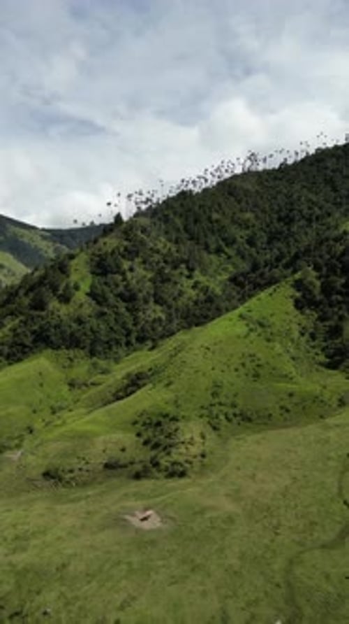 Aerial video over Salento towards a lush forested valley in the mountains of Colombia, Colombia