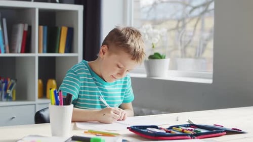 Boy Doing Homework at a Desk Indoors