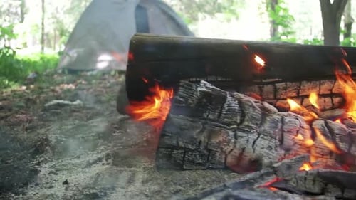 Lagerfeuer brennt auf dem Campingplatz inmitten eines Zeltes und Baumstämme im Wald (Zeitlupe)