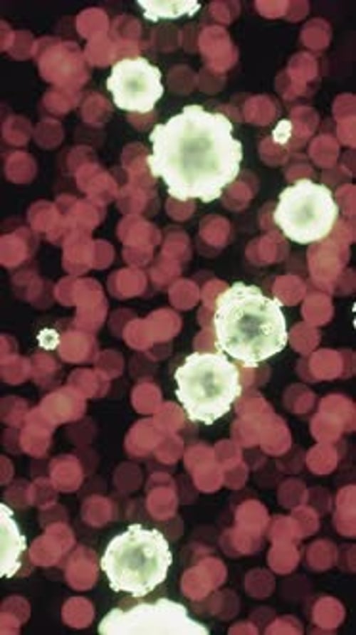 Viewing the Navirus Under a Digital Microscope