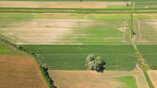 Aerial view with the landscape geometry texture of a lot of agriculture fields with different plants