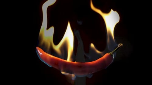 Red Chili Pepper Burning with Bright Flames