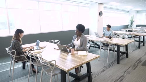 Business People Working at Laptops on Tables in Coworking Space Office Adult