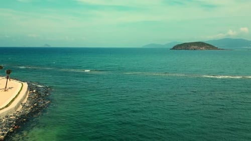 Beach on the Tropical Palm Trees at Sunlight Coconut Palm Trees Up View Green Palm Tree on Blue Sky