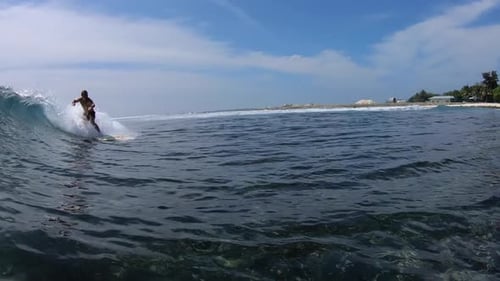 Male Surfer Riding Wave near Tropical Island Beach