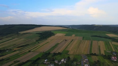 Aerial Landscape of Green Farmland in Summer Season with Growing Crops Agricultural Cultivated Field