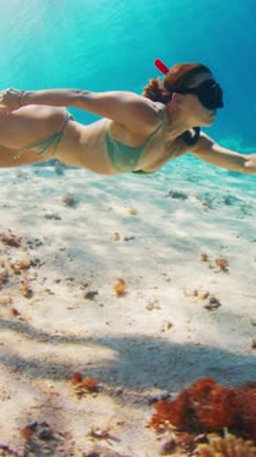 Woman Swimming Underwater in Tropical Ocean