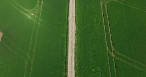 Green agricultural field with a driving tractor as look-up drone shot