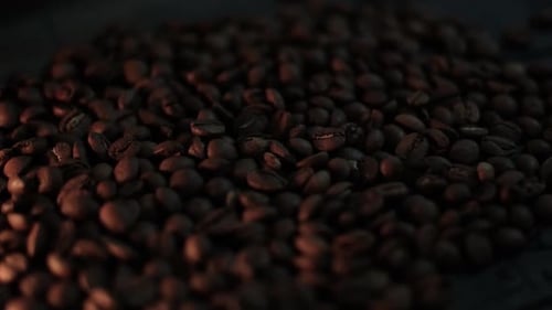 Close Up Slow Motion of Fragrant Seeds of Coffee