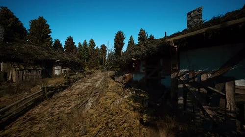 Radiant Corridor Encircled By Lush Greenery Near Village House