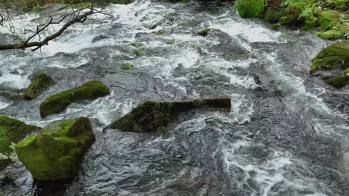 Boulders With Rushing Stream At Rainforest In Parga River, La Coruna, Spain. Slow Motion