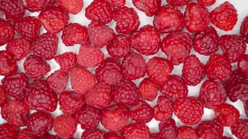 Close Up Rotation Raspberry Macro Red Fresh Raspberries Fruit Rotation