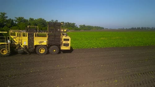 Combine harvesting sugar beet aerial view