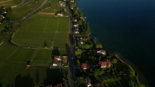 Aerial view of Lavaux terraced vineyards and Lake Geneva during the day near Lutry in canton of Vaud