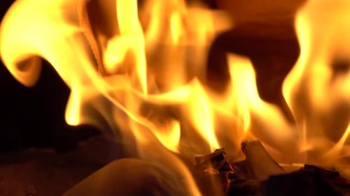 Bright Flames Consuming Paper in Close Up Shot