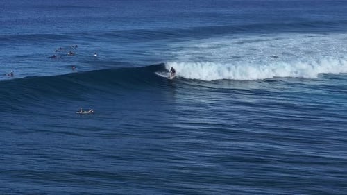Aerial shot of tourists surfing waves in the sea in the Maldives
