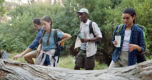 People, friends and map in forest for hiking, journey or reading for direction