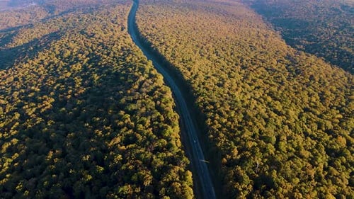 Luftaufnahme von Autumn Woods und der Autobahn, die den Wald durchquert