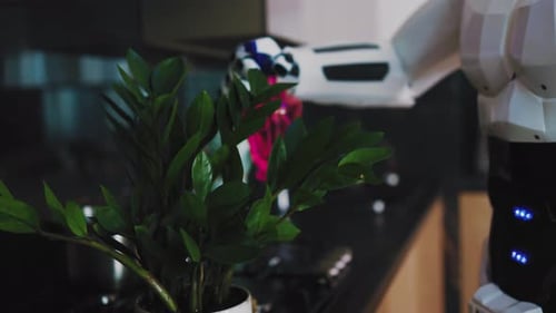 Robot Tends to Houseplant in Futuristic Kitchen