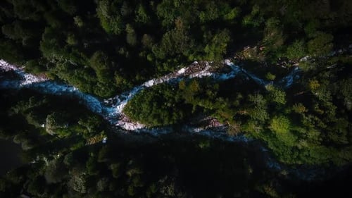 Aerial view of a fast river with rapids surrounded by a forest. Top view of a wild river with stones