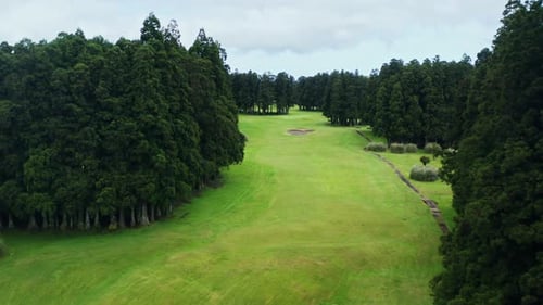 Cinematic aerial drone shot of green golf course.