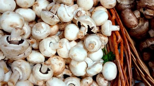 Pan right over fresh white mushrooms at market