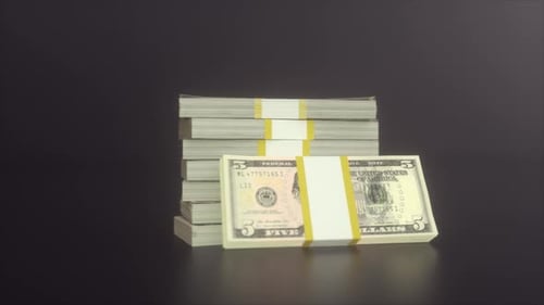 Realistic Stacks of Five Dollar Bills Animation