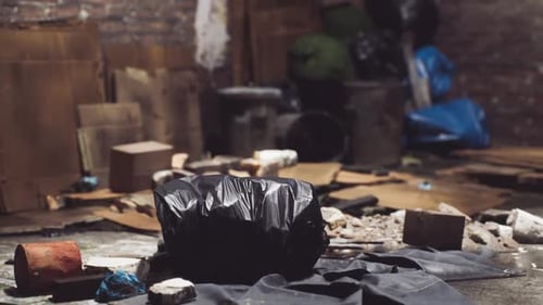 A Cluttered Alley Filled with Waste and Discarded Materials During the Day