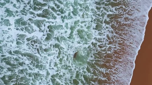 White ocean foam waving at sandy beach with deep dark water rolling seashore