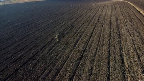 Flying Over Large Plowed Field of Black Soil Field of Dug Up Earth on Autumn Day