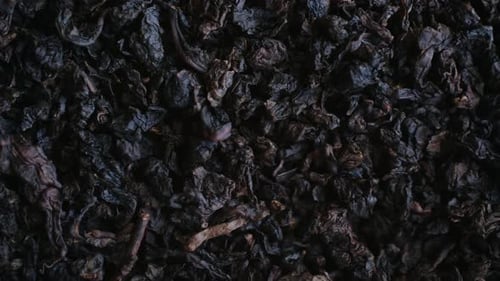 Dry Oolong Tea Leaves Rotating Macro View