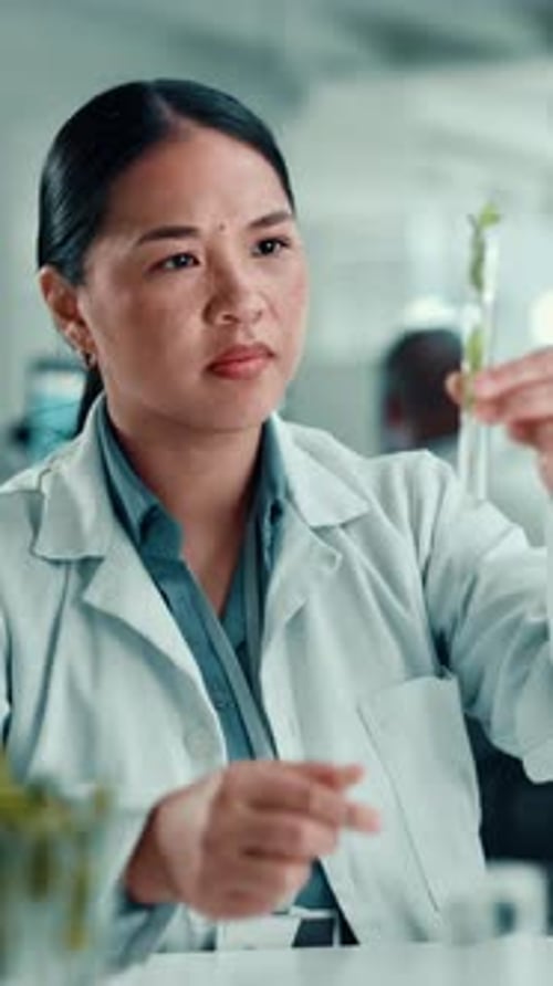 Scientist, Asian woman and plant with test tube in laboratory for botany