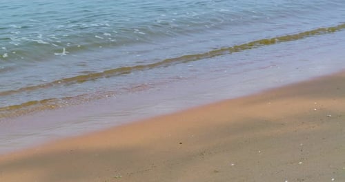 Serene beach scene tropical coast nature background calm environment close-up view tranquility conce