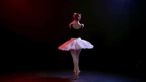 Graceful Ballerina Performing Ballet Moves in a Studio